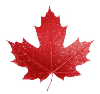 Canada maple leaf